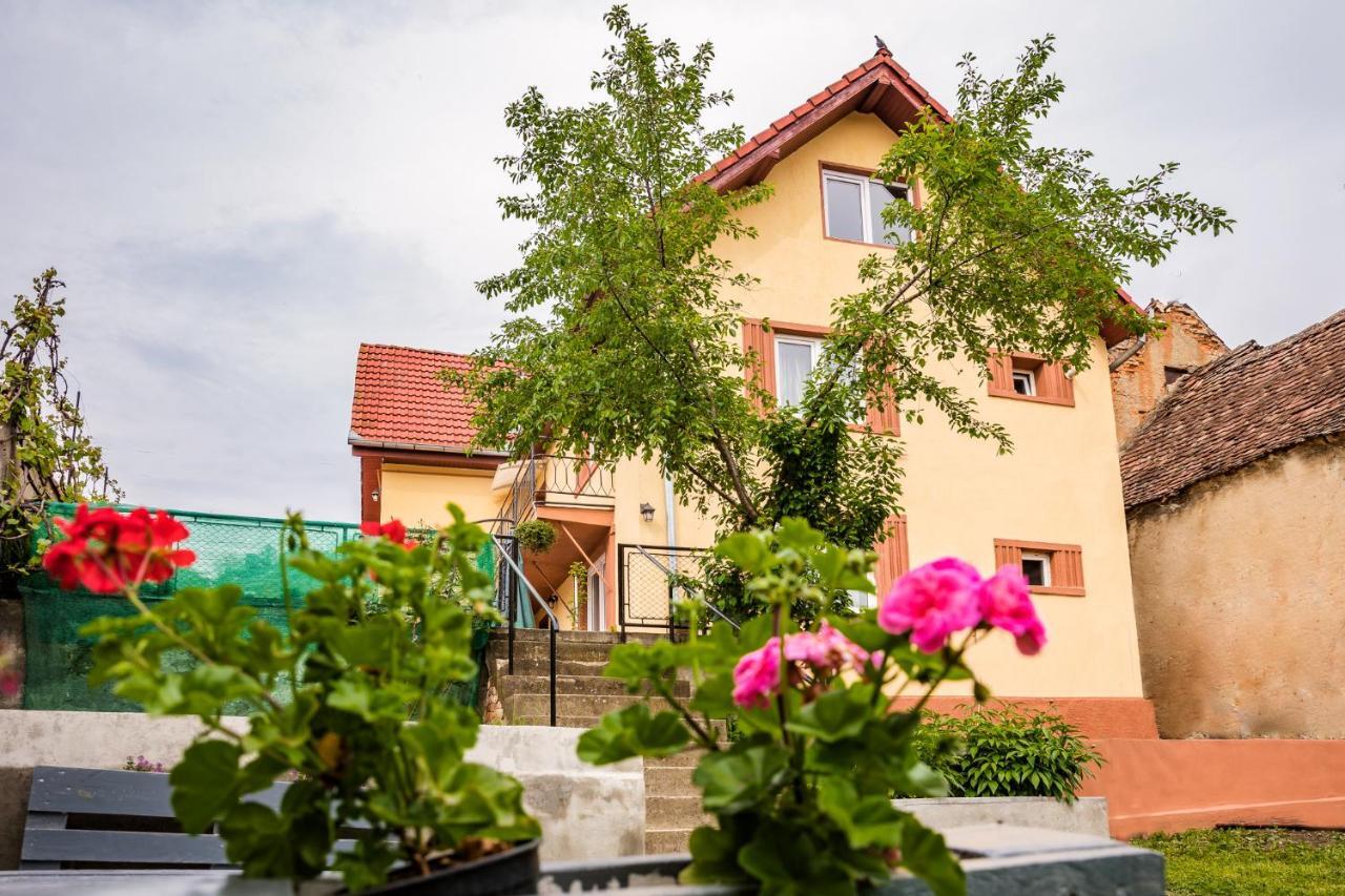 Gabi'S Home #1 Сігішоара Екстер'єр фото